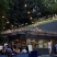 Shake Shack